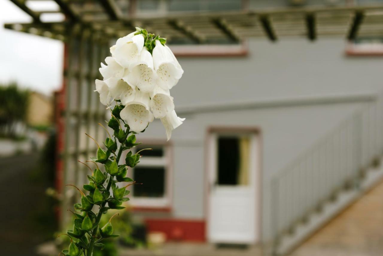 Eagle Heights Bed & Breakfast เอนนิสโครน ภายนอก รูปภาพ